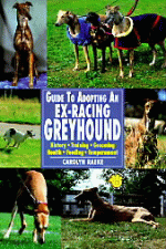 book-adopt-ex-racing-grey