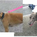 Freedom Flight #3 – July 17, 2009