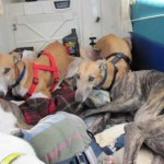 Freedom Flight #3 – July 17, 2009