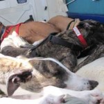 Freedom Flight #3 – July 17, 2009