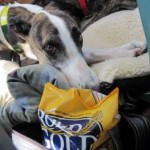 Freedom Flight #3 – July 17, 2009