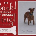 greyhound christmas card